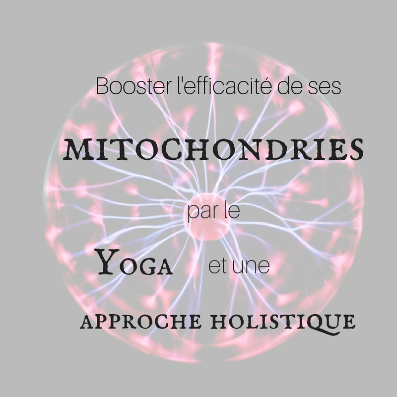 Booster et protéger ses mitochondries par le yoga et une approche holistique