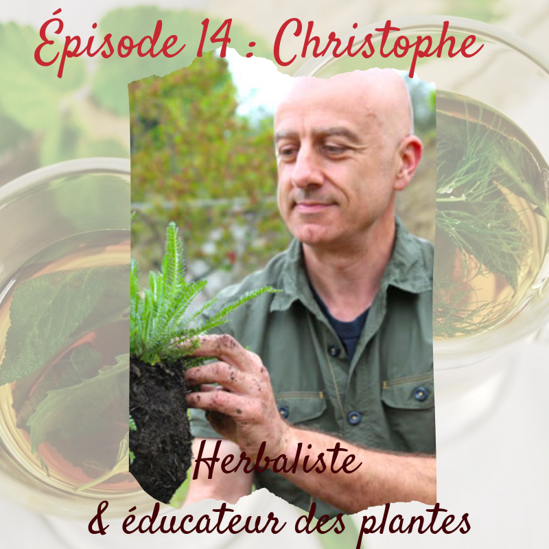 Au Fil des Lunes : Épisode 14 : Christophe, Herbaliste et éducateur des plantes