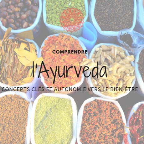 L’Ayurveda : concepts clé et autonomie vers le bien-être