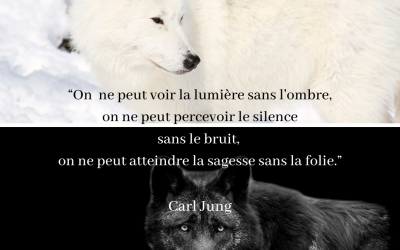 Loup Noir / Loup Blanc